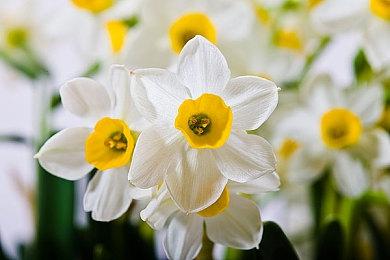 拓展世界观玩法更深入！ Shift Up透露《剑星》续作规划